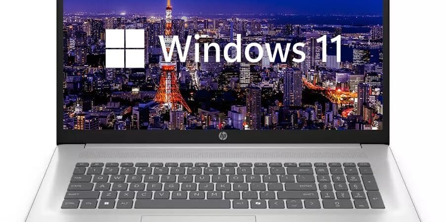 HP 17.3″ FHD 1920 x 1080 IPS LED Business Laptop Computer, 16GB RAM 512GB SSD, AMD Ryzen 5 7430U (6-Core) Processor, Windows 11 Home, Numeric Keypad, Camera Privacy Shutter, HDMI, Natural Silver